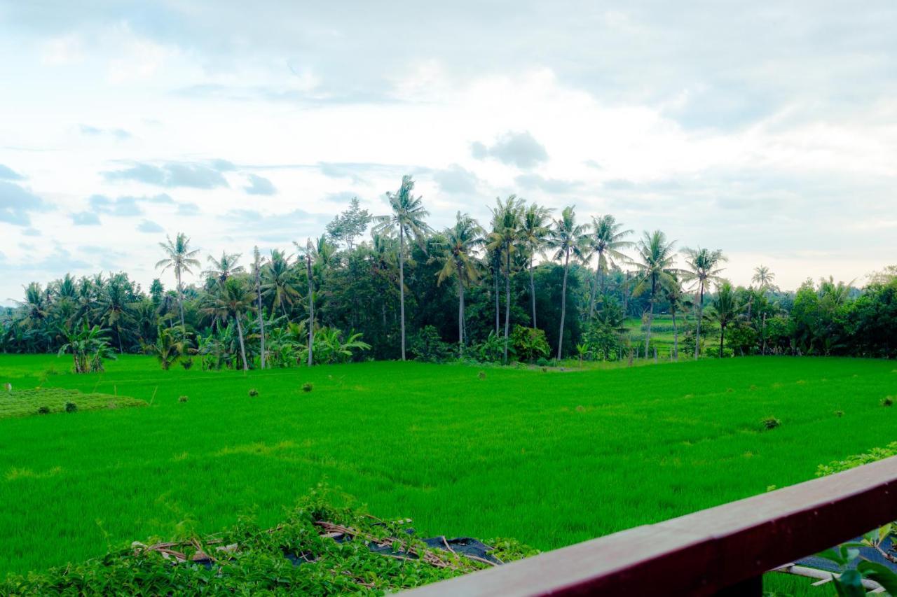 Nauna Villa Ubud Екстериор снимка