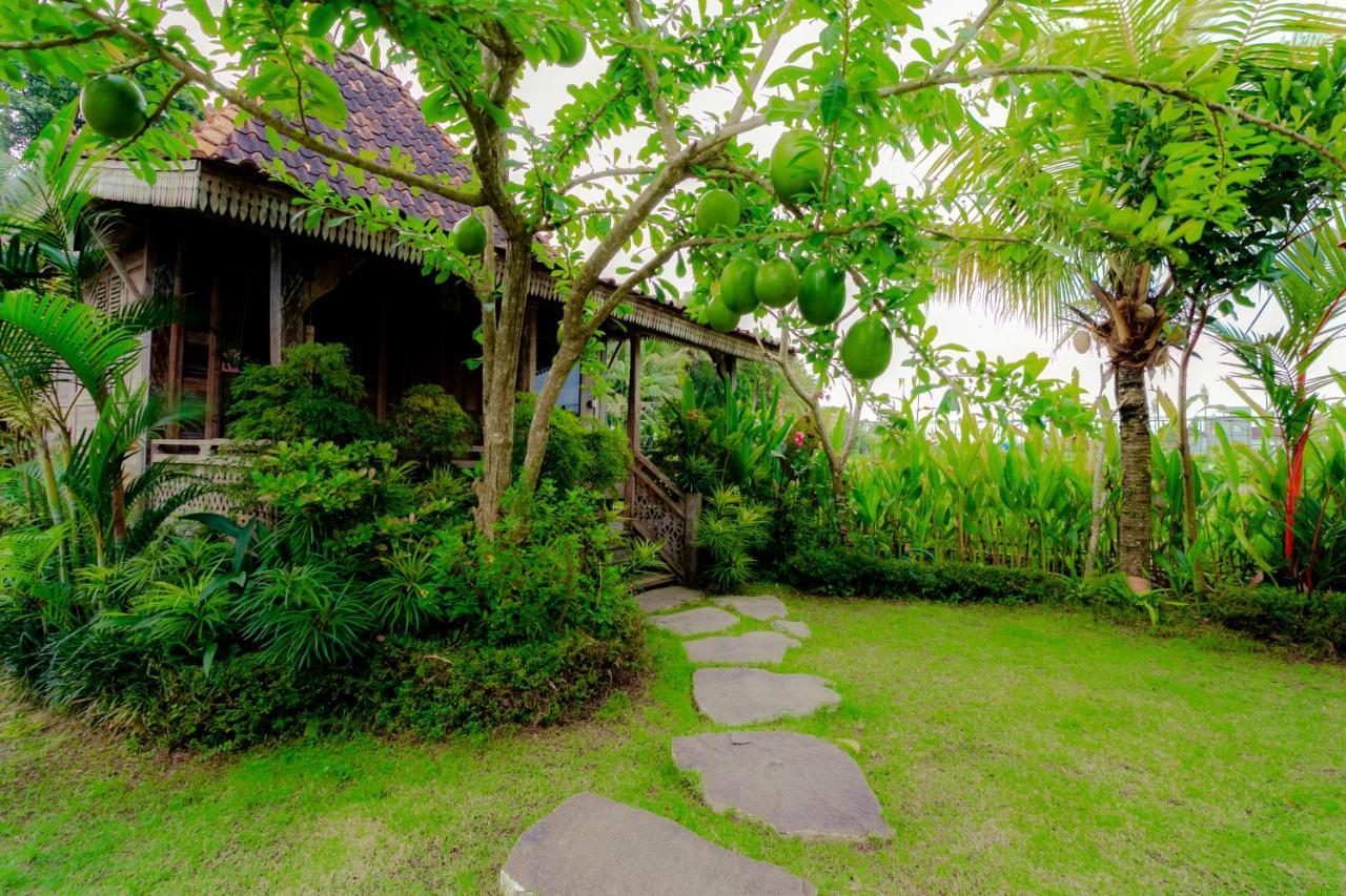 Nauna Villa Ubud Екстериор снимка