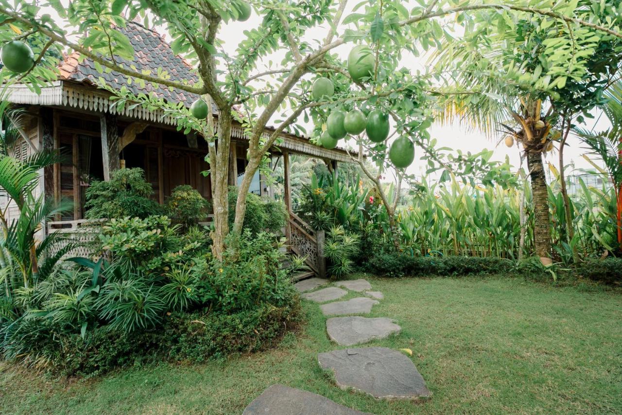 Nauna Villa Ubud Екстериор снимка
